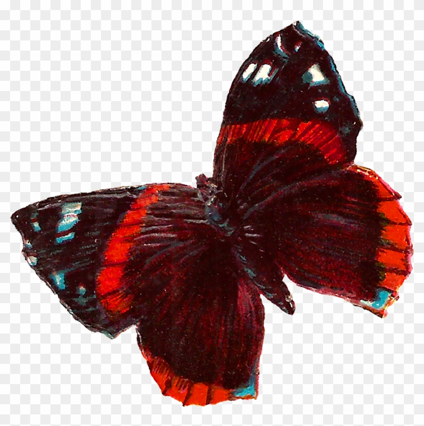 Red Butterfly Image Downloads - Maroon Butterfly Png Clipart #5872010