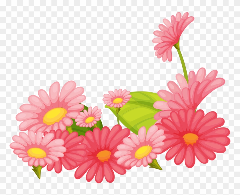 Clip Art , Png Download - Barberton Daisy Transparent Png