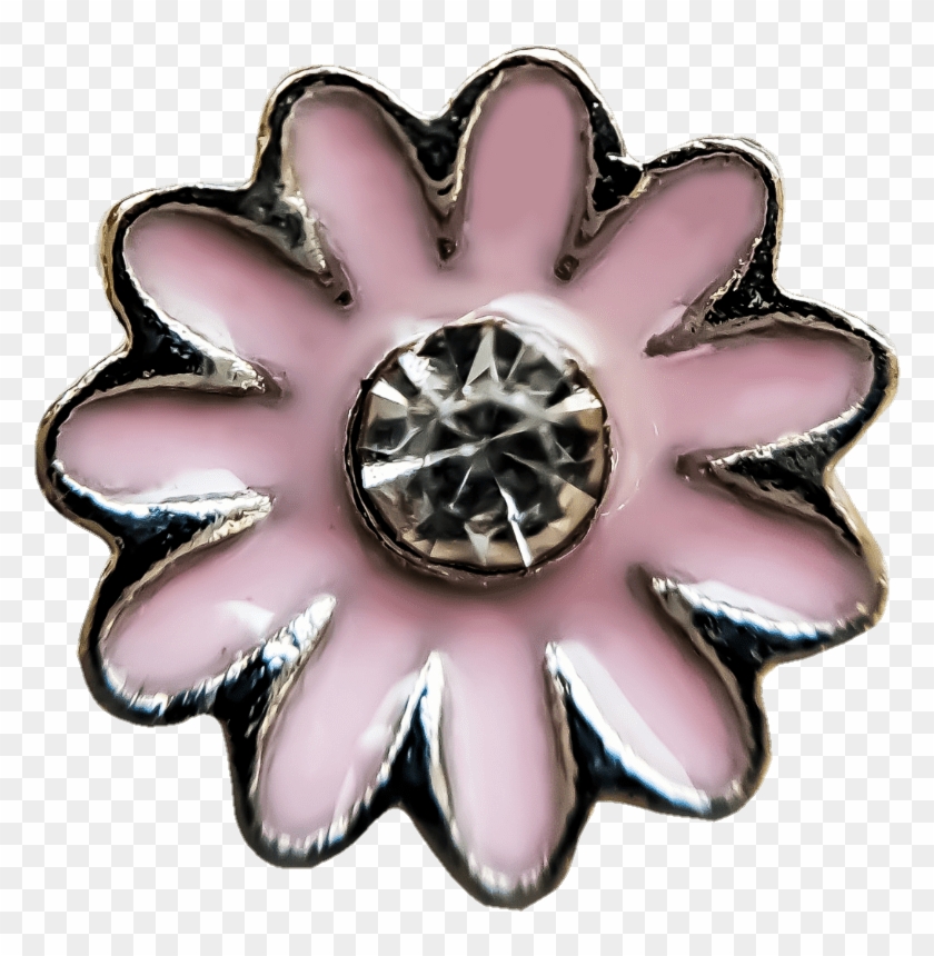 Black-eyed Susan Clipart