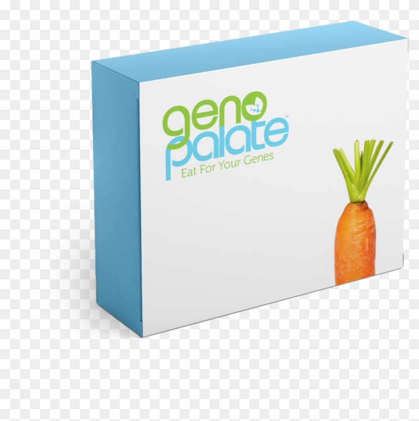 Kit Copy - Carrot Clipart