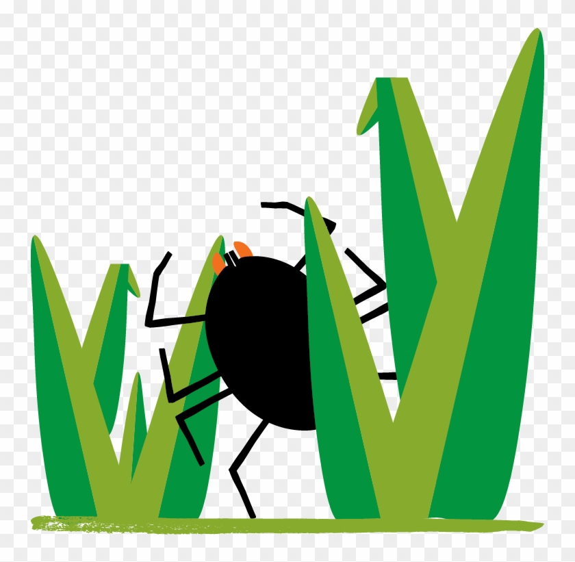 Tick Clipart