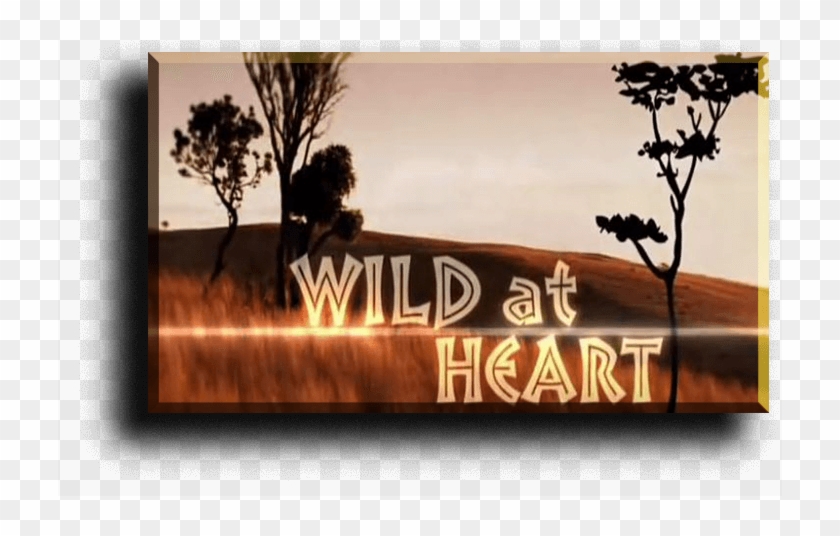 Wild At Heart Tv Series Clipart #5875413