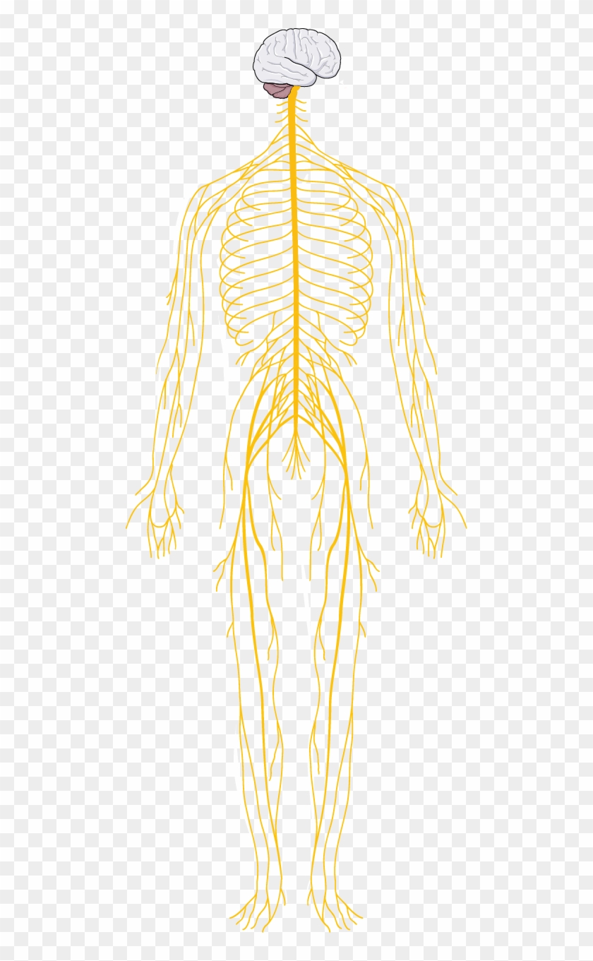 Download The Image - Illustration Clipart #5875756