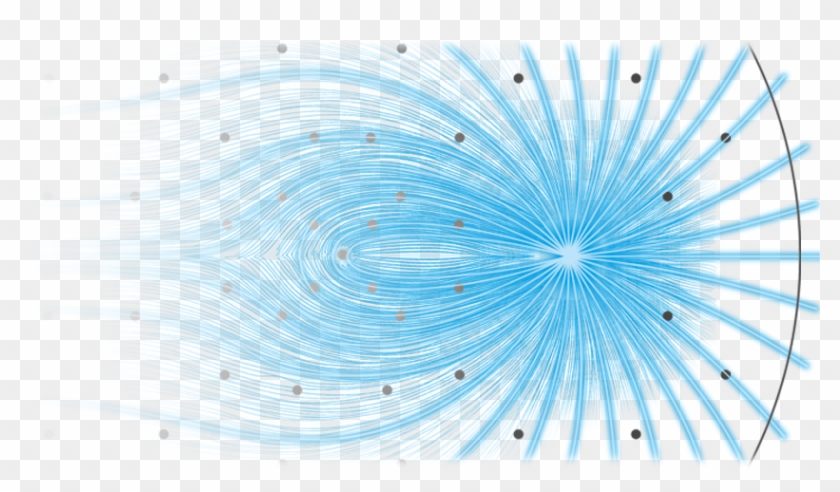 Octopus Nervous System Lovely Périmétrie - Macro Photography Clipart