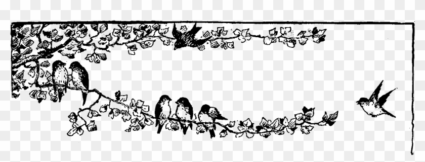 Digital Stamp Design - Bird Black And White Border Clipart #5877463