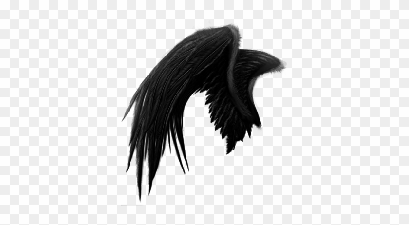 #alas De Angel - Alas De Angel Negras Png Clipart