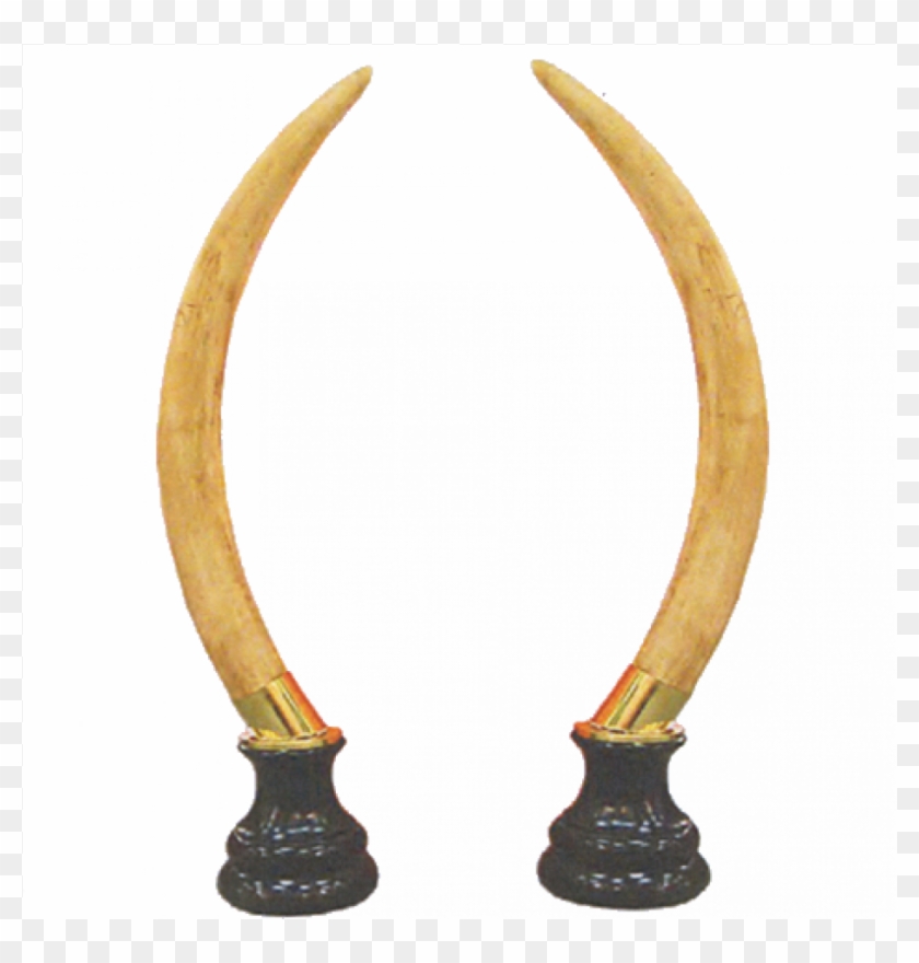 Adornos De Cuernos De Elefante Clipart #5878433