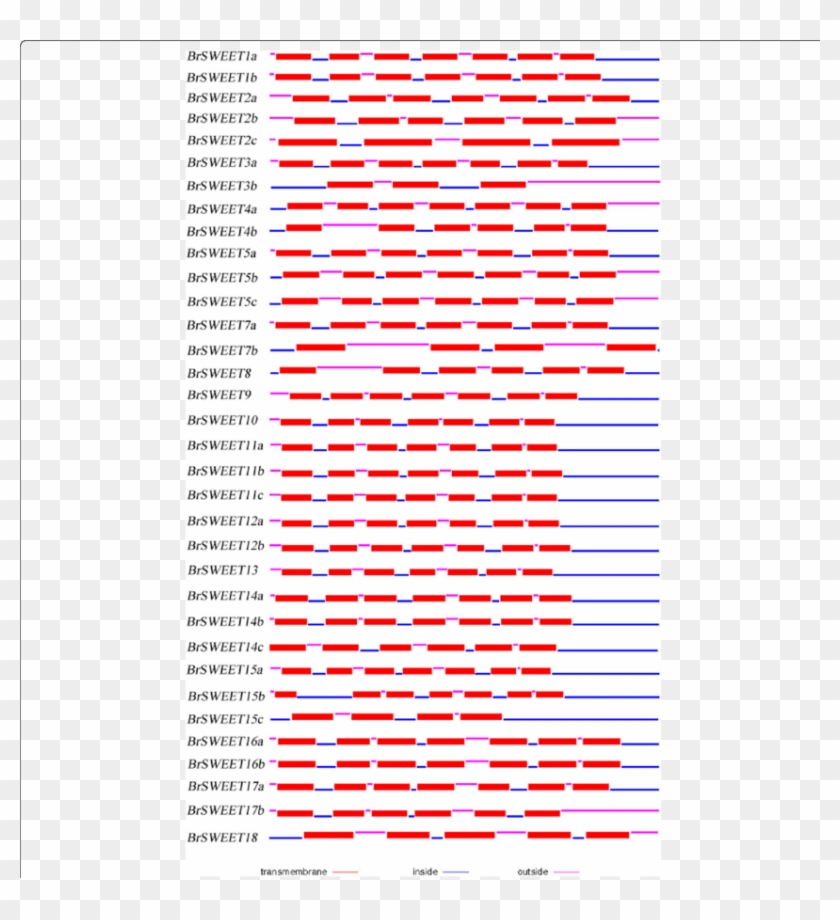 Protein Structure Of Mtn3/saliva/sweets In B - Mario Series Clipart