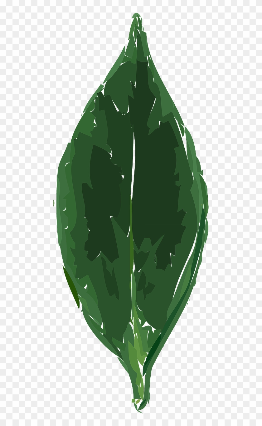 Tea Leaf Clip Art - Png Download