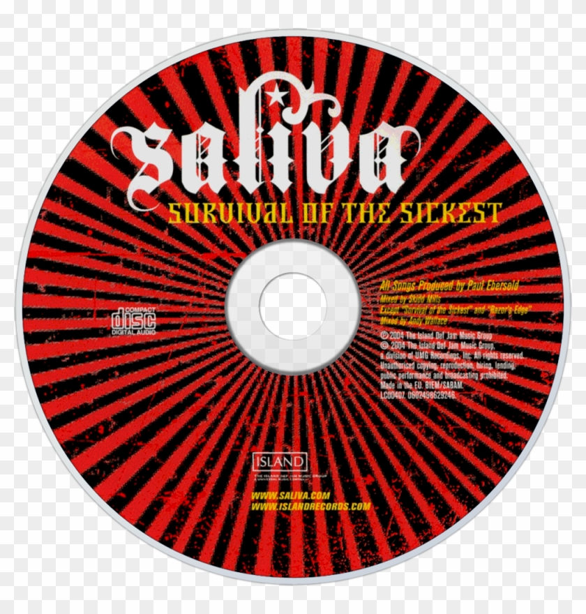Saliva Survival Of The Sickest Cd Disc Image - Different Types Of Paper Fan Clipart #5880191