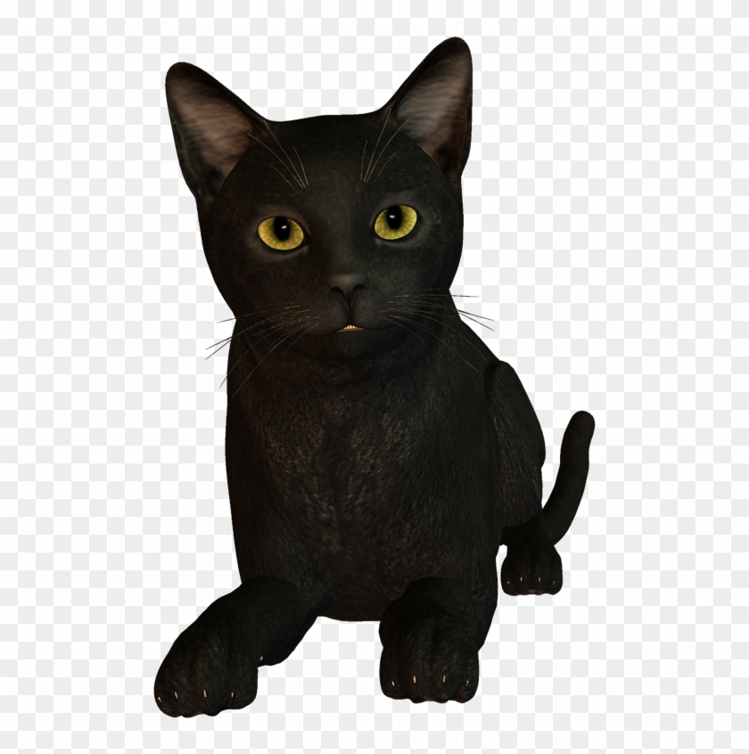 Imágenes De Gatos Negros - Black Korat Clipart