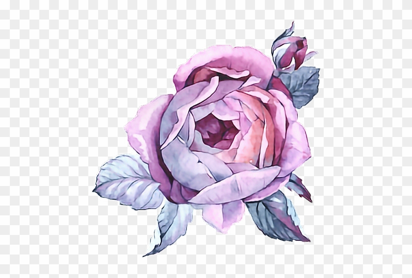 #rose #paint #purple #flower #watercolor #watercolour - Purple Flowers Watercolour Png Clipart