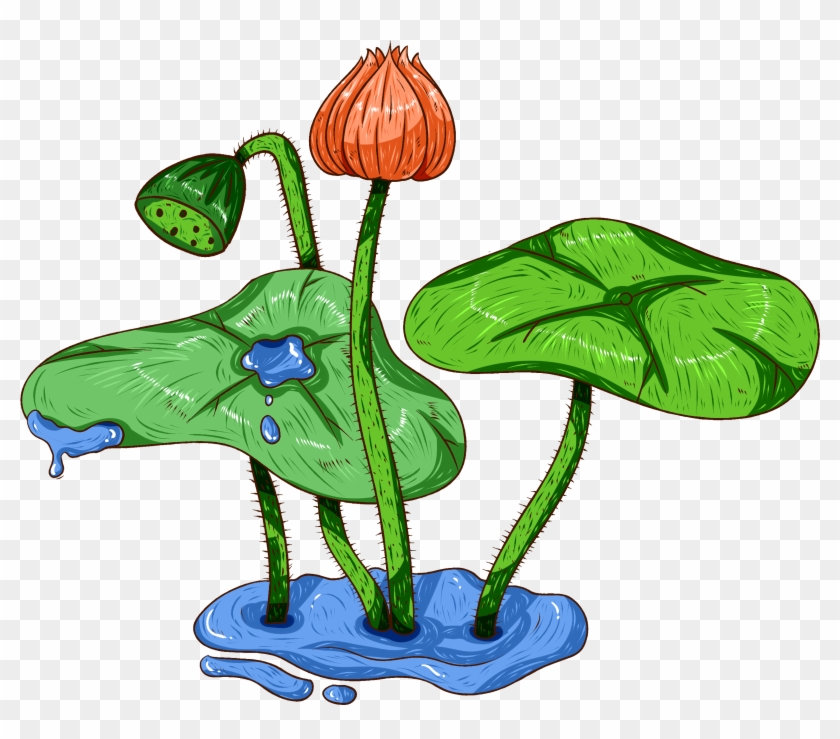 Original Comercial Pintados À Mão Plantas Aquáticas - วาด ภาพ รูป นำ้ ย ด Clipart
