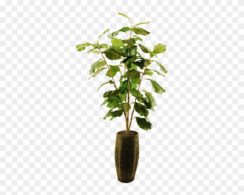 Houseplant Clipart #5883241