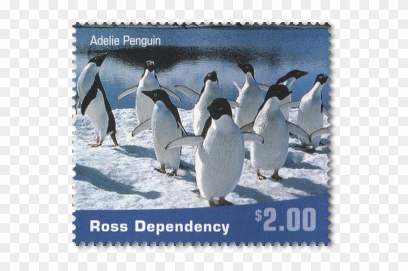 Single Stamp - Emperor Penguin Stamp Clipart