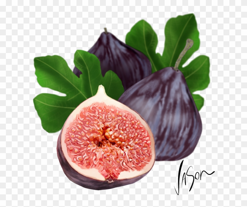 Source - Fordonfood - Files - Wordpress - Com - Report - Common Fig Clipart