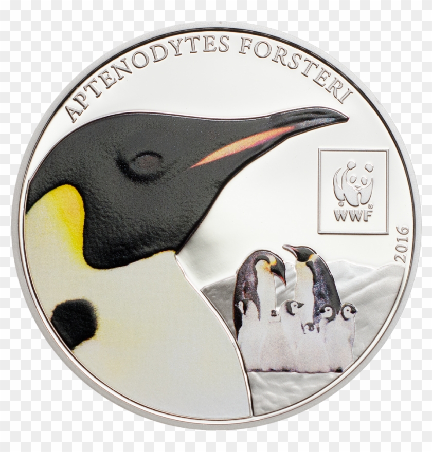 Emperor Penguin Clipart #5883818