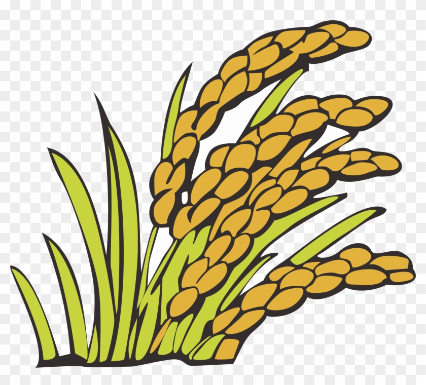Wheat Clipart Bunga Padi - Gambar Tanaman Padi Kartun - Png Download