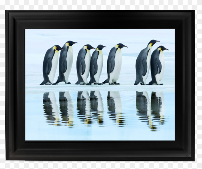 Penguins Group Clipart #5883960