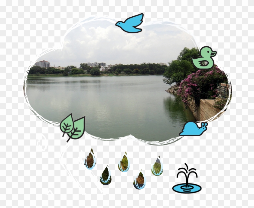 Reflection Clipart