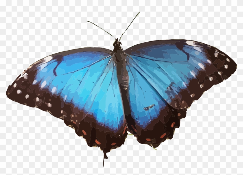 This Free Icons Png Design Of Morpho Peleides - Blue Morpho Butterfly Png Clipart #5884853