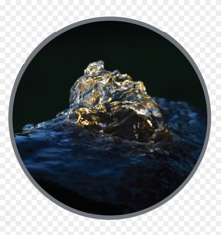 Did You Know - Circle Clipart