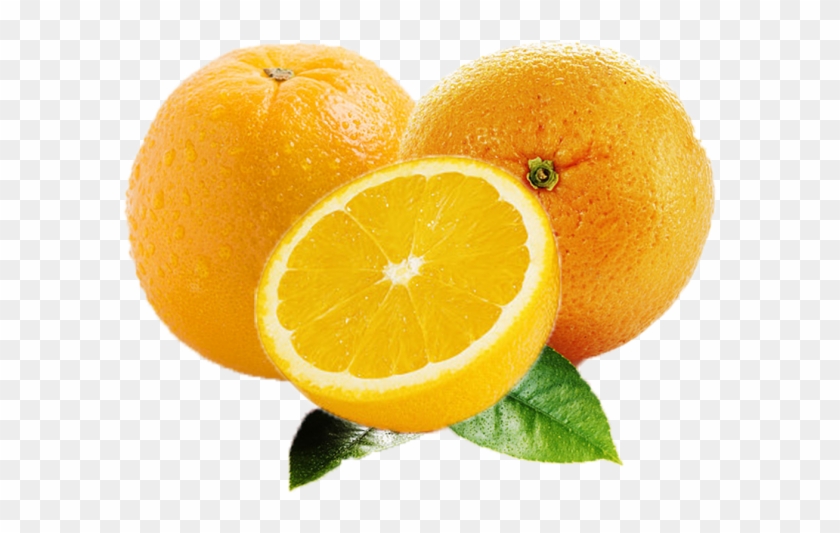 Rangpur Clipart #5885596