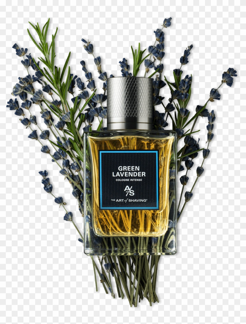 Green Lavender Visual - Perfume Clipart #5885687