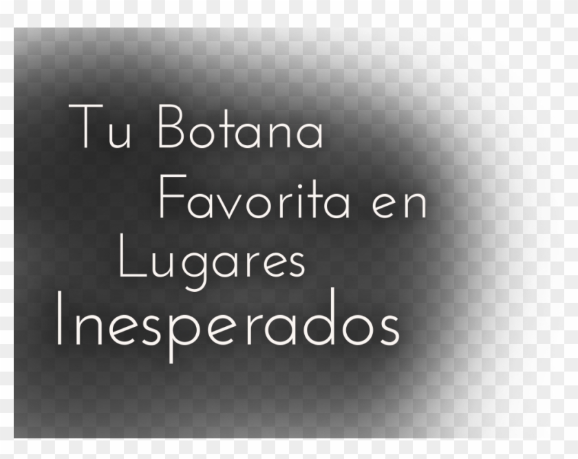 Conoce Todas Nuestras Video Recetas Clipart #5886066