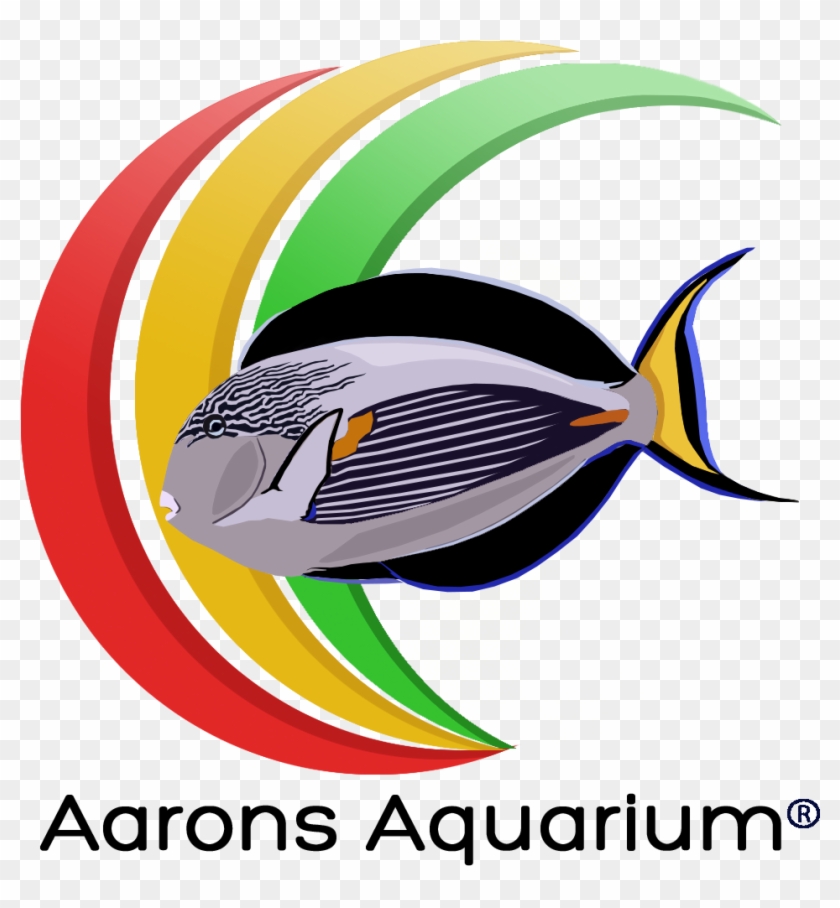Aquarium Png - Graphic Design Clipart #5886580