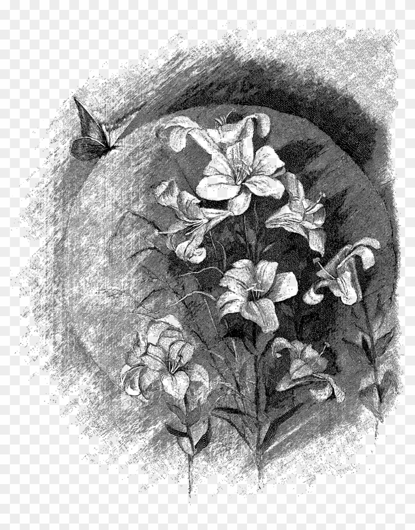 Visual Arts Sketch Flower Illustration Transprent Png - Visual Arts Clipart #5886717