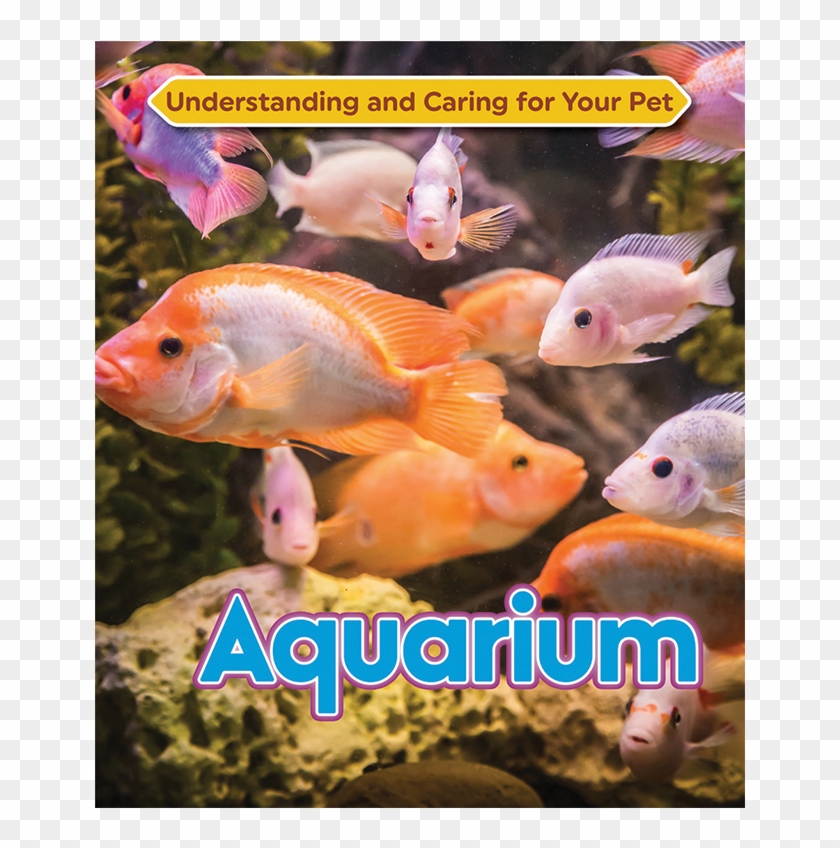 Coral Reef Fish Clipart #5886753