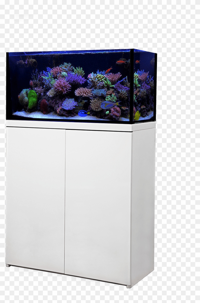 Transparent Piping Aquarium - Reef Octopus Lux 90 Clipart #5886784