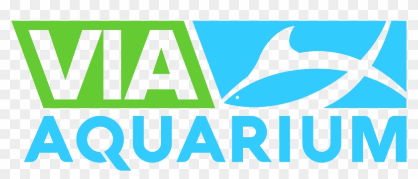 Via Aquarium Rotterdam Coloursafe - Graphic Design Clipart #5886816