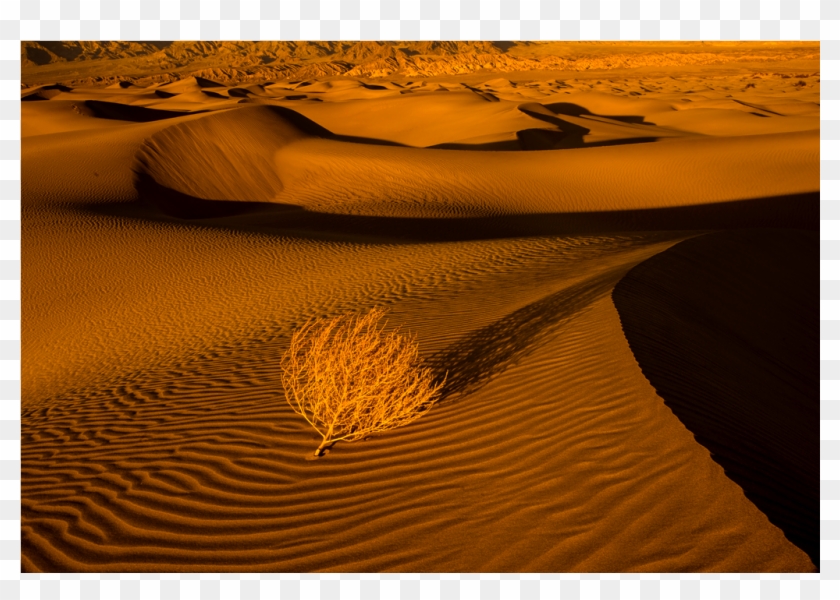 Oceans Of Sand - Erg Clipart #5886963