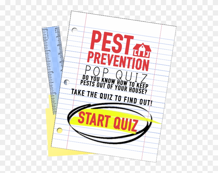 Class Is In Session With The Orkin Man - Leander Haußmann Peter Pan Clipart #5887176