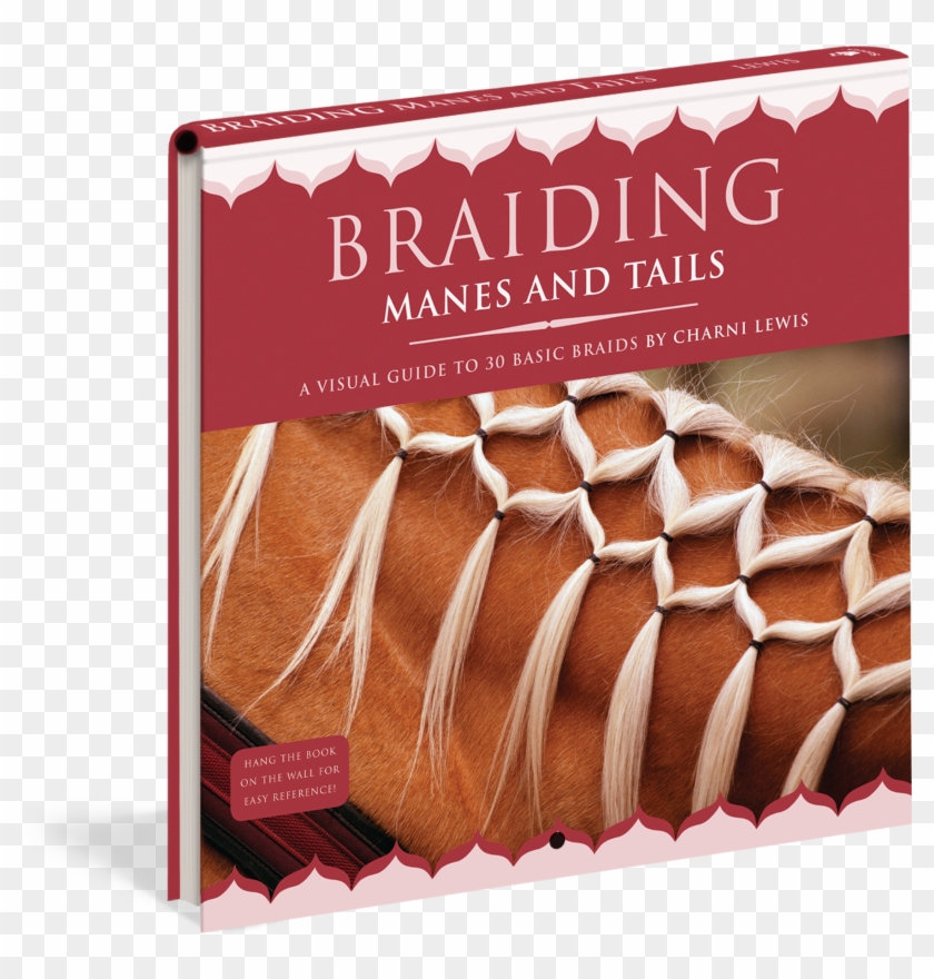 Zaplétání Hřívy A Ocasu Návod Clipart