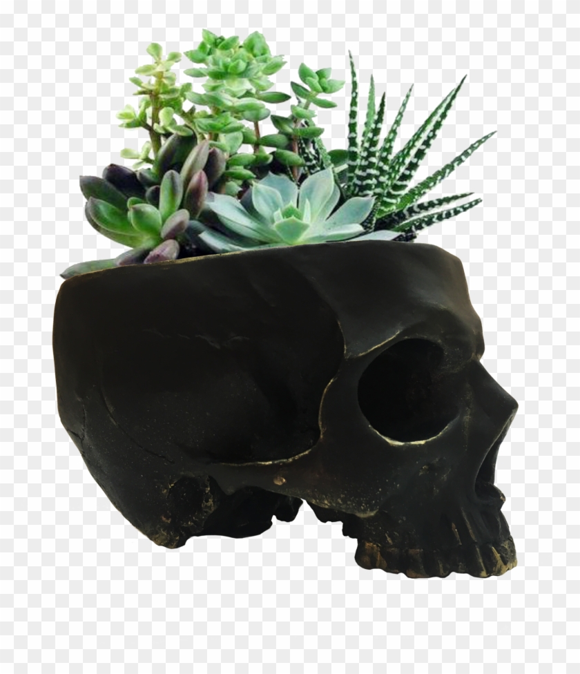 Skull Gold Edges Skull Planter / Skull Bowl / Cool - Bag Clipart