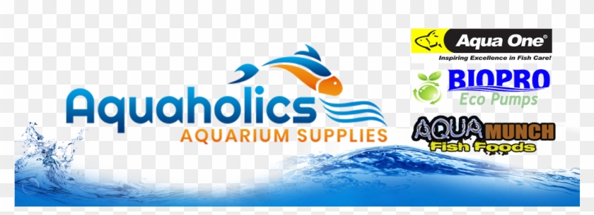 0 Items - Fish Shop Banner Design Clipart