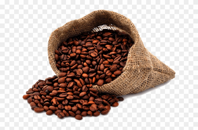 Good Coffee For Everyone - Transparent Background Coffee Bean Clip Art - Png Download #5887566