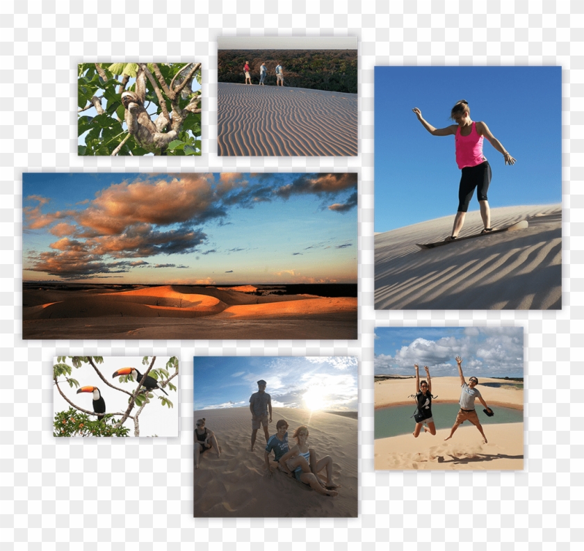 Lomas Summary - Collage Clipart #5887799