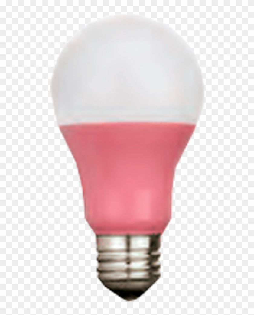 Bombillo Led A60 Color Rosa 3w E27 120-240v 6000k - Light Clipart