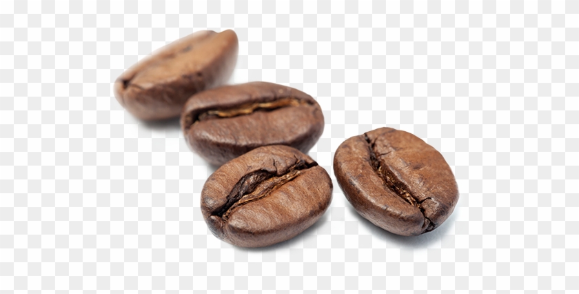 Brita Café Granos De Café - Seed Clipart