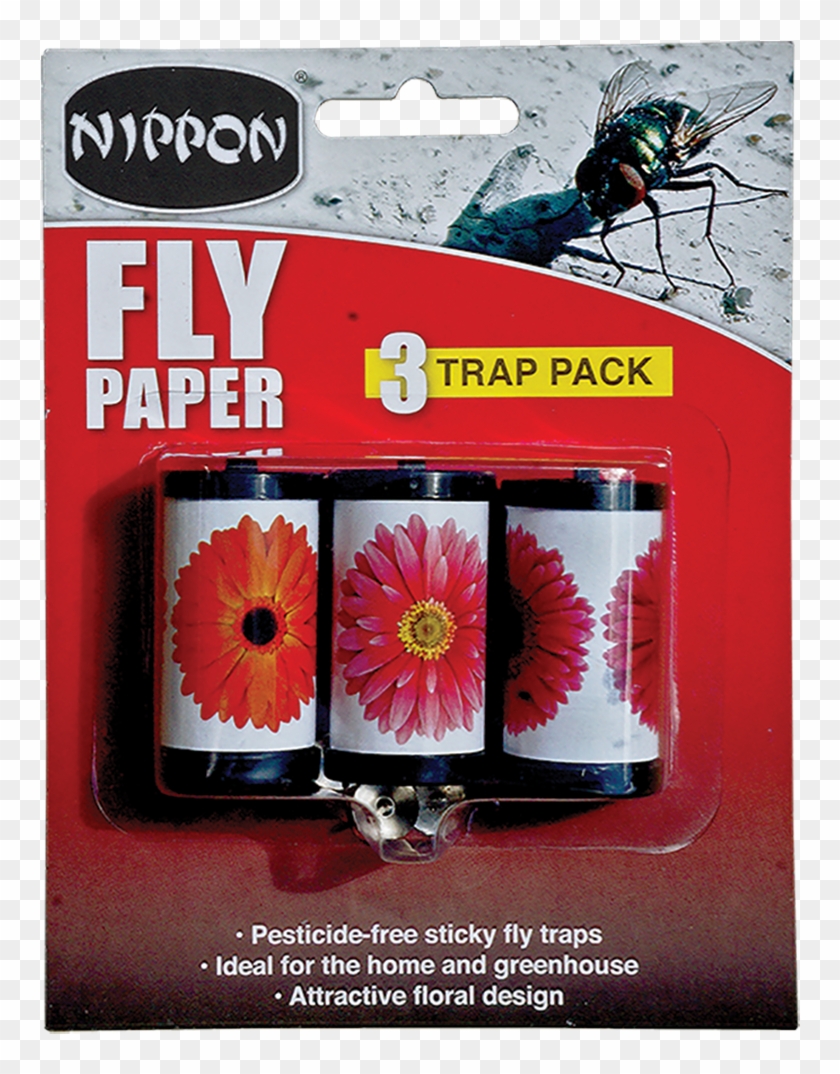 More Views - Barberton Daisy Clipart