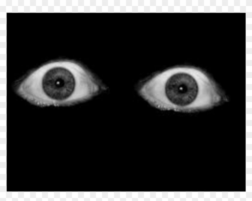 #creepy #horror #eye #eyes #dark #grunge #aesthetic - Horror Eyes Png Clipart #5889176