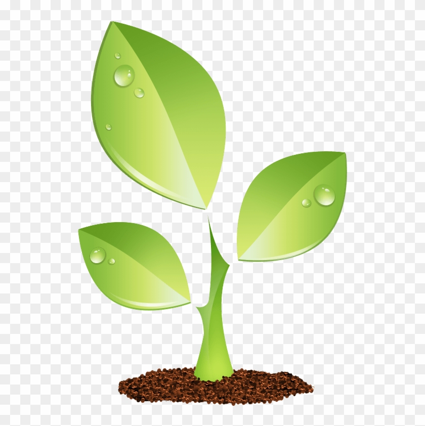 Growth Vector Green Plant - Plant Vector Png Clipart #5889258