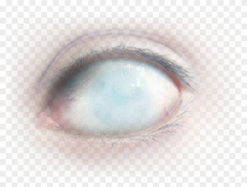 #eye #creepy #stickers - Close-up Clipart