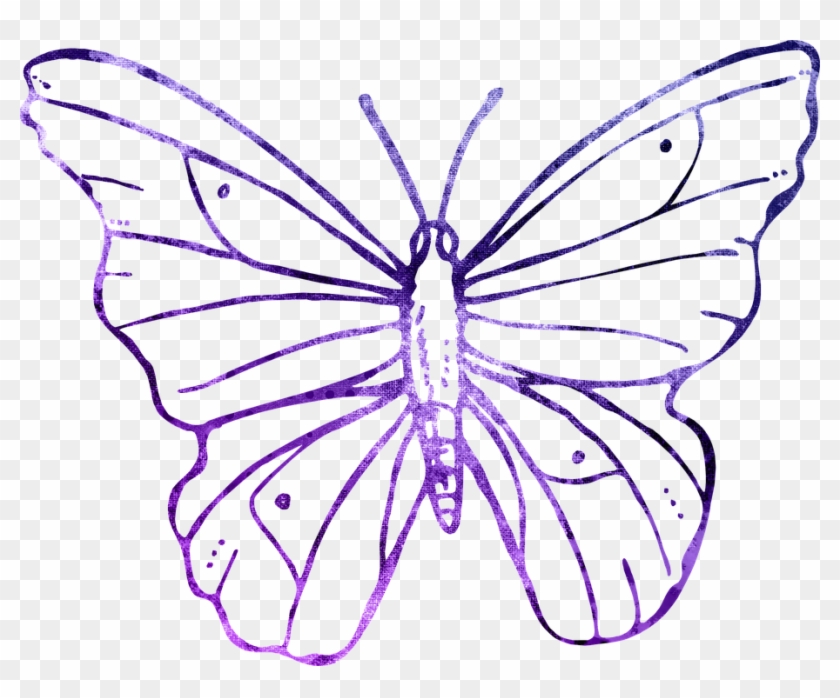 Butterfly Purple Outline Clipart Cute Flying - Transparent Background Butterfly Outline Clipart - Png Download