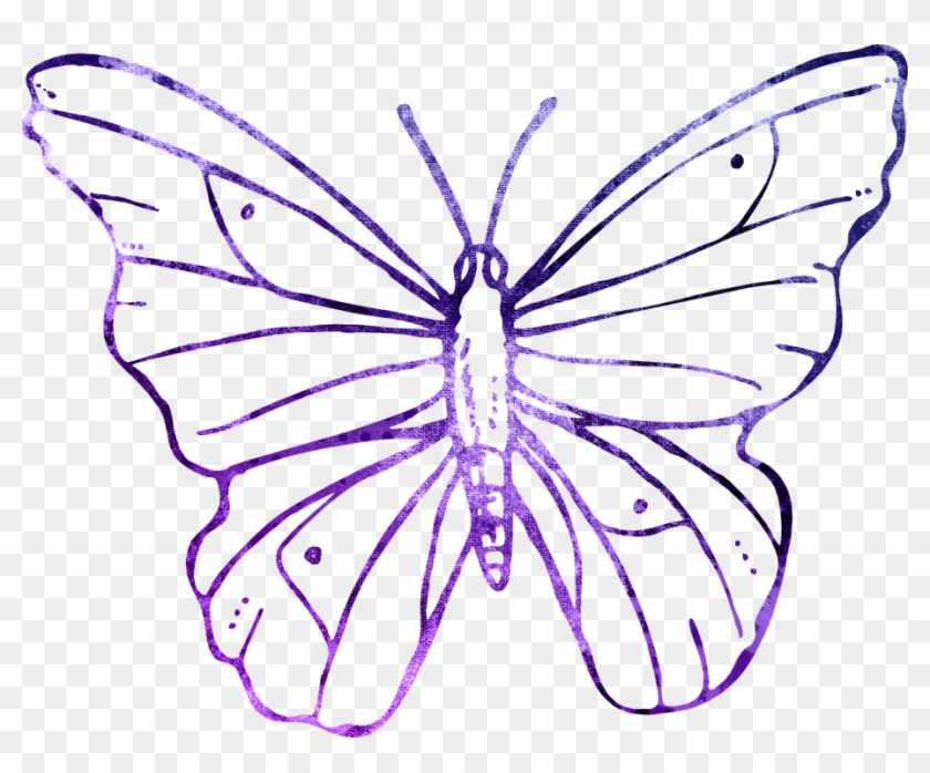 Butterfly Purple Outline Clipart Cute Flying - Transparent Background Butterfly Outline Clipart - Png Download #5889972