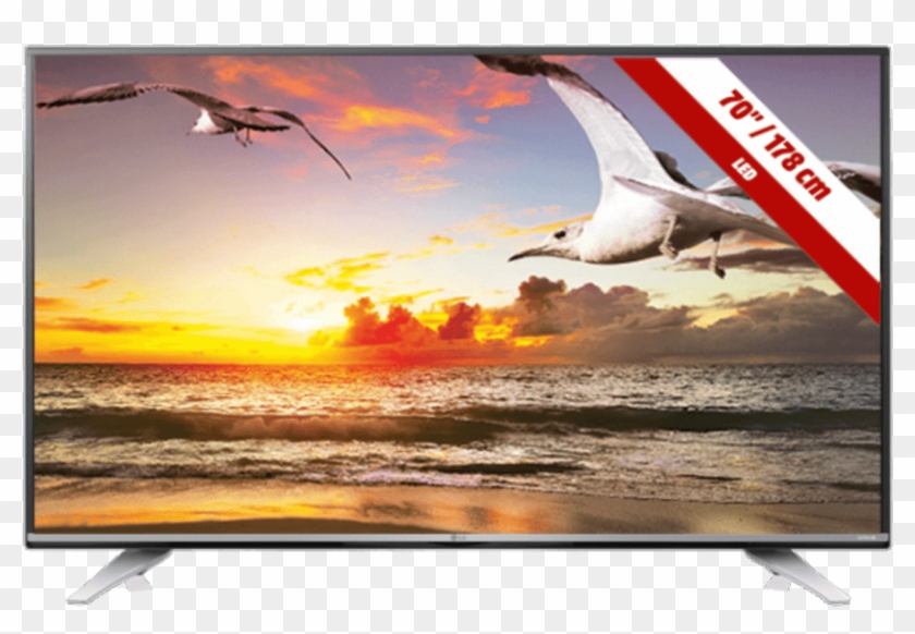 Skyview 40 Inch Tv Clipart #5891829